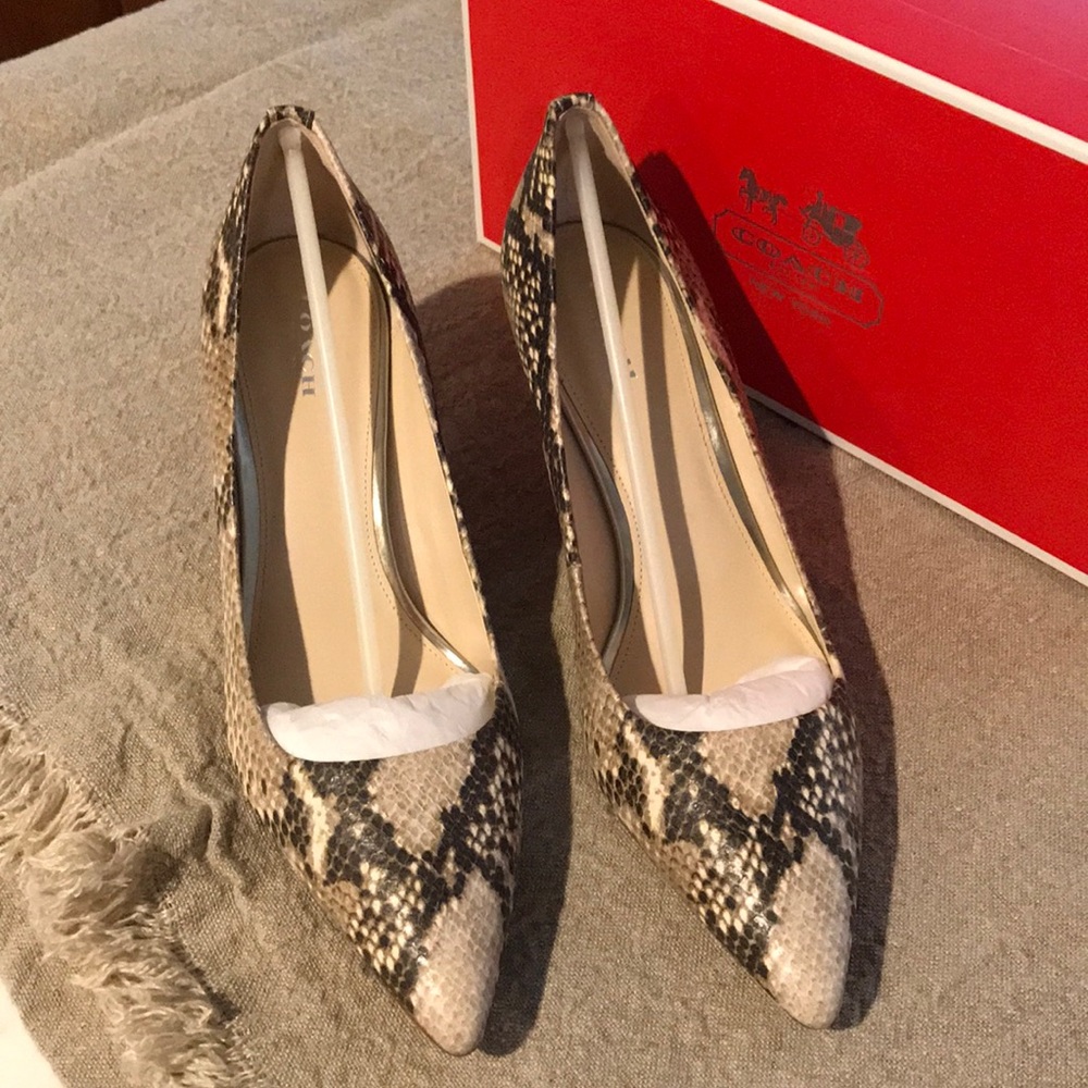 Coach Grand Classic Print Snake Roccia Heels 10M